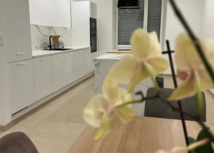 Elegance Et Confort A Konukevi